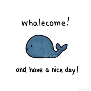 Meet your Posher, Ali